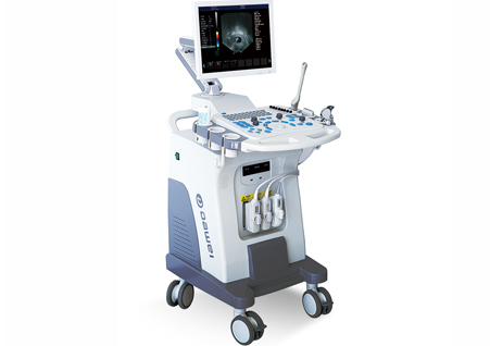 DW-480,全數(shù)字可視人流機(jī),推車式可視人流機(jī)