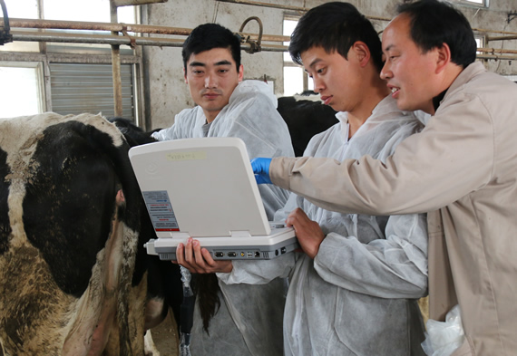 牛用B超,牛用B超機,牛孕檢B超,牛場用B超機,養牛用B超機,獸用B超,獸用B超機