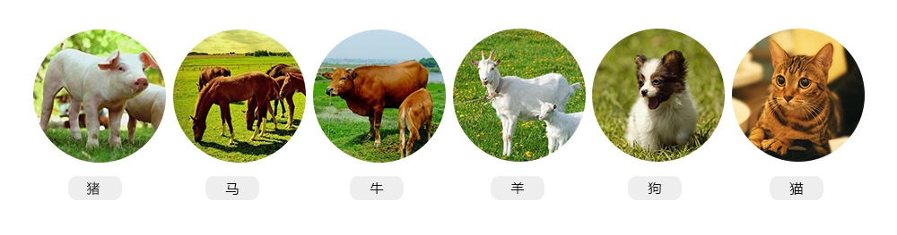 S9推車式獸用彩超機適用對象